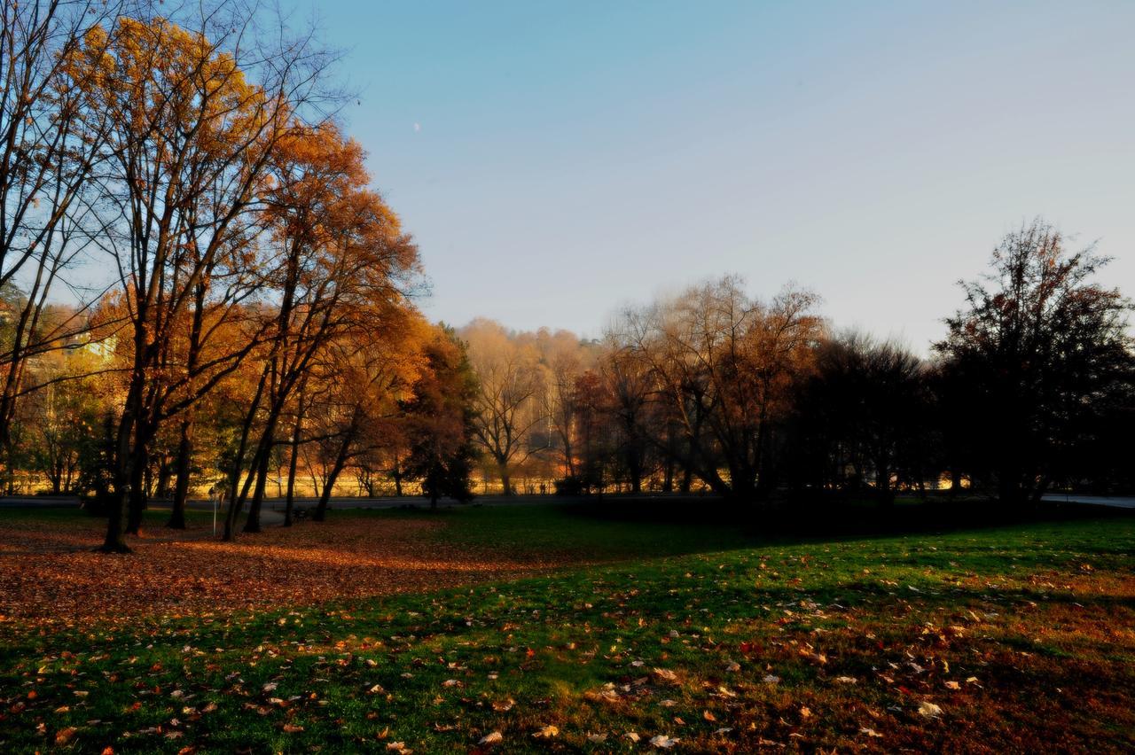 Il Pane E Le Rose Bed & Breakfast Turin Bagian luar foto